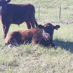 Profile Picture of person (@blake.gustason.7) on Instagram