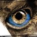 Profile Picture of Phillip Engelbrecht (@phillipengelbrecht1982) on Pinterest