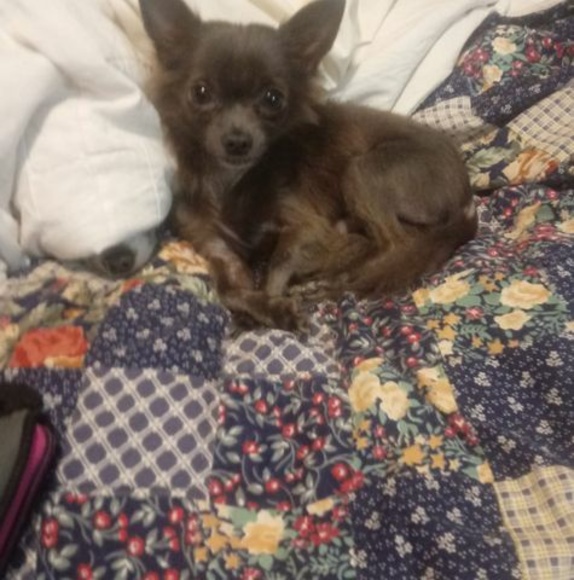 Profile Picture of Melissa Foster (@melissafoste653) on Poshmark