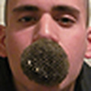 Anibal Sandoval - Flickr Profile Picture of Anibal Sandoval (@Anibal Sandoval) on Flickr