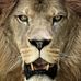 Profile Picture of Randy Celmer (@randy.celmer.9) on Facebook