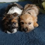 Profile Picture of Brian Nagle (@Brian-Nagle) on Facebook