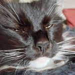 Profile Picture of max nagler (@mjnagler06) on Instagram