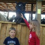 Profile Picture of Matt Bice (@bicematt) on Instagram