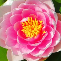 Profile Picture of Stephen Goodman (@stephen-goodman-7) on Quora