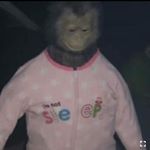 Profile Picture of jacques_hallam (@jacques_hallam) on Instagram