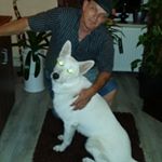 Profile Picture of Bauer Albert (@bazitrans) on Instagram