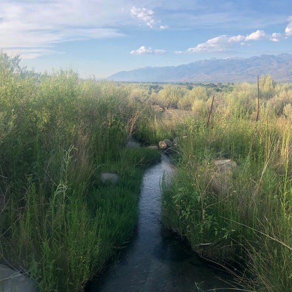 Profile Picture of Casey Takada (@ctakada) on Poshmark