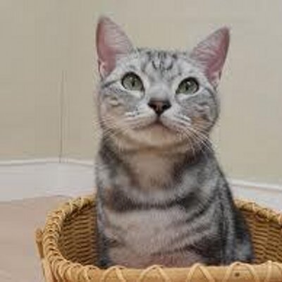 Profile Picture of Kendall Curtis (@KendallCurtis21) on Twitter