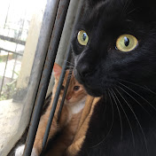 Profile Picture of Jocelyn Fonseca Luna (@jocelynfonsecaluna3281) on Youtube