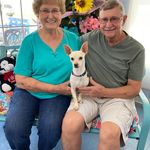 Profile Picture of Deborah Cottrell Howell (@debbyhjimmyh) on Instagram