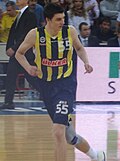 Profile Picture of Emir Preldžićon Wikipedia