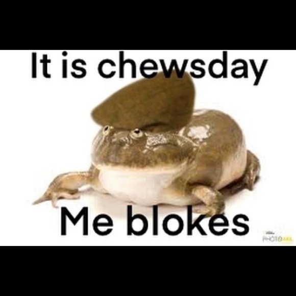 Profile Picture of Hailee S (@hailsclimbs) on Poshmark