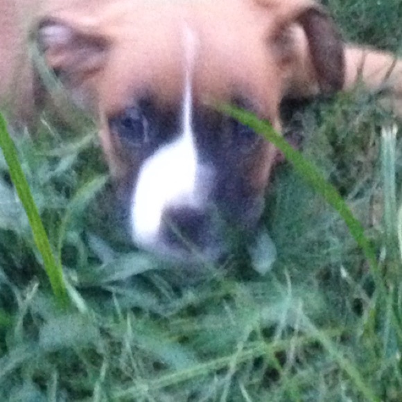 Profile Picture of Emily Macmullen (@bartholamu) on Poshmark