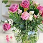 Profile Picture of Om Omar Badwan (@omomarbadwan) on Instagram