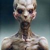 Profile Picture of Colin Chung173 (@colinjameschung) on Tiktok