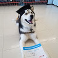 Profile Picture of Michael Brabo (@michael-brabo-1) on Quora