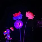 Profile Picture of 𝗛𝗘𝗔𝗩𝗔𝗡 𝗪𝗥𝗜𝗧𝗘𝗥 (@moonglade_oreki) on Instagram