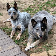 Profile Picture of kimhileman (@kimhileman) on Tiktok