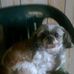 Profile Picture of Mark Chauvin (@mark.chauvin.9) on Facebook