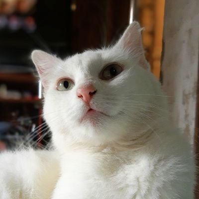 Profile Picture of Gregory Gabriel (@GregoryGMFF) on Twitter