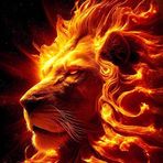 Profile Picture of Joel Moraga (@Joel-Moraga) on Facebook