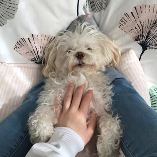 Profile Picture of Winja (@robinjudd_) on Instagram