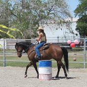 Profile Picture of Robin Bailey Horsemanship (@RobinBaileyHorse) on Youtube