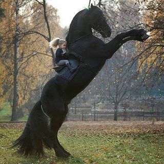 Profile Picture of Hani Haddadi (@hani.haddadi.5) on Facebook