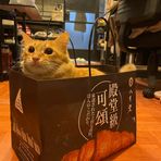 Profile Picture of Wesley Luk (@kahei.luk.1) on Facebook