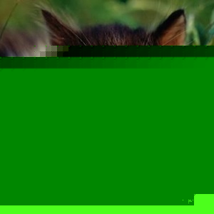 Profile Picture of Xiaoyan Pan (@127882468) on Myspace