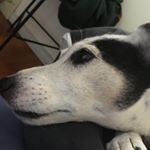 Samuel Donnelly - Instagram Profile Picture of Samuel Donnelly (@samueld.priv) on Instagram