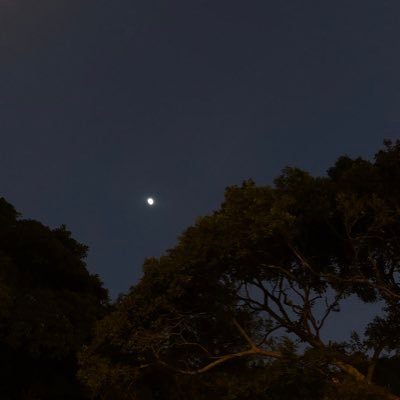 Profile Picture of Brent Wong (@brentwong16) on Twitter