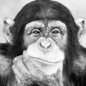 Profile Picture of Alex Reznik (@biostarukr) on Youtube