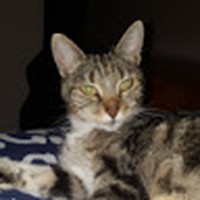 Profile Picture of Simone Carruthers (@simone-carruthers) on Quora