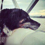 Profile Picture of Henry Holcomb (@dogs_life_swagg) on Instagram