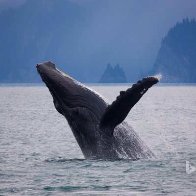 Profile Picture of Alexglade (@alexglade1) on Twitter