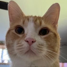 Profile Picture of jenna brantley (@jennabrantley1) on Pinterest