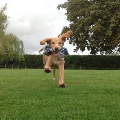 Profile Picture of Jackie Hales (@JackieHales2) on Twitter