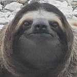 Profile Picture of Tyler  Green (@[greenman]) on Flickr