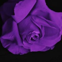 Profile Picture of Joe Cunningham (@joe-cunningham-44) on Quora