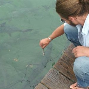 Profile Picture of Chris Guercio And The Green Room Sessions (@chrisguercio) on Myspace