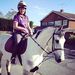 Profile Picture of Stacey Joyce (@tinkerbelly1989) on Pinterest