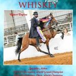 Profile Picture of Robert Dupree (@dupree3409) on Instagram