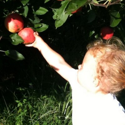 Profile Picture of Brad Weiser (@maillard_rx) on Twitter