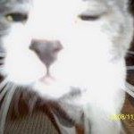 Profile Picture of Heather Rehurek (@heatherrehurek) on Instagram