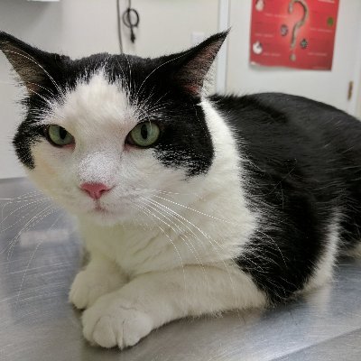 Profile Picture of James Stookey (@Jamesstookey4) on Twitter