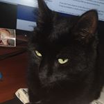 Profile Picture of Nathan dasilva (@nathandasilva39) on Instagram