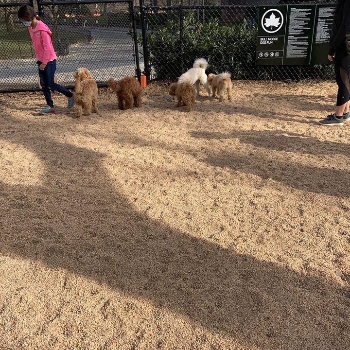Profile Picture of user8817472852230 (@amandafader08) on Tiktok