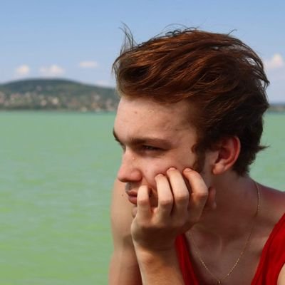 Profile Picture of Márk Rigó (@PLETONIUS) on Twitter